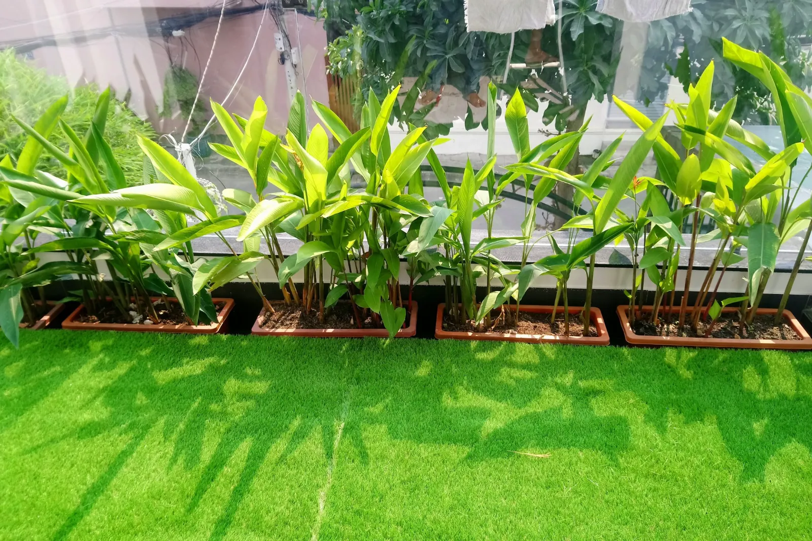 Cỏ nhân tạo sân vườn tỉnh Bắc Ninh