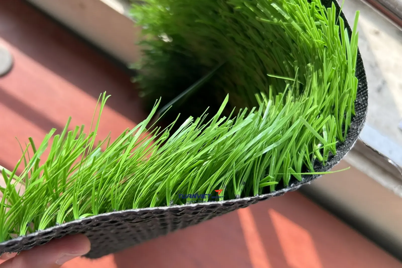 Cỏ nhân tạo sân vườn