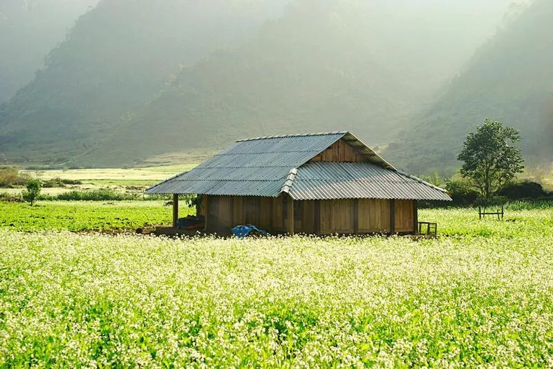 Du lịch Mộc Châu Sơn La Du lịch Mộc Châu Sơn La